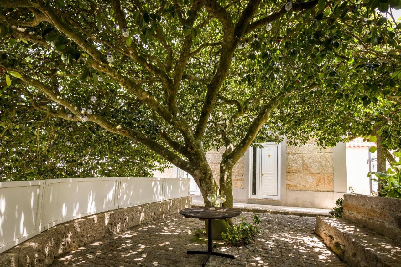 Casa De Ferreira Cinfaes Villa Exterior photo